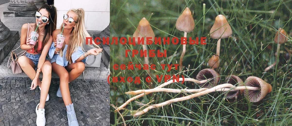 PSILOCYBIN Армянск