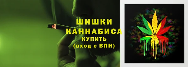 PSILOCYBIN Армянск