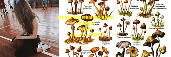 ешки Арсеньев