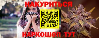 гидра Можга