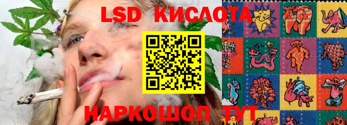 ЛСД экстази кислота  LSD-25 экстази кислота  Губаха  Вход с VPN 