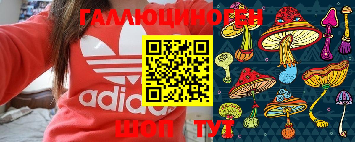 Губаха  Галлюциногенные грибы Psilocybe  Вход с VPN 