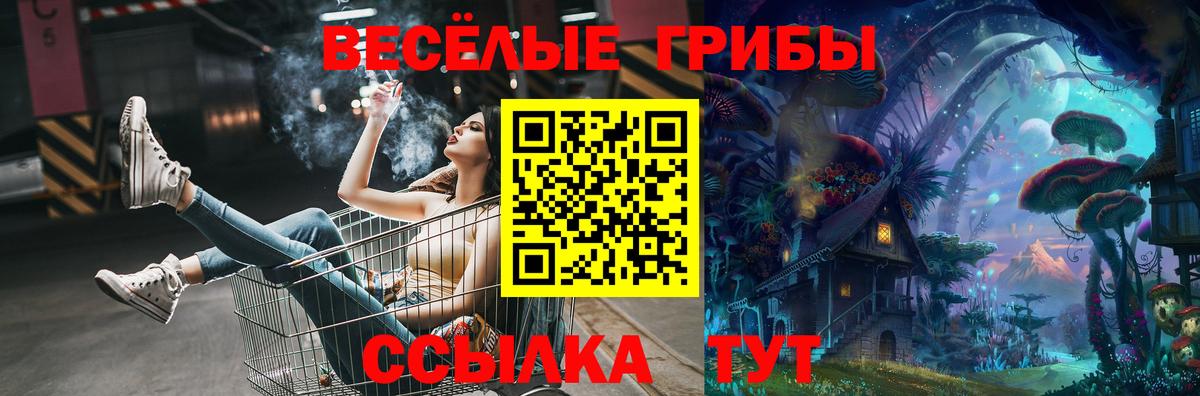 Псилоцибиновые грибы Psilocybe Губаха